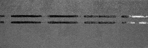 Коньково-карнизная черепица Docke Premium, черника купить в Красном Холме